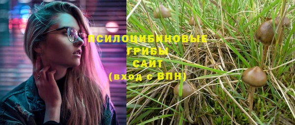 бошки Балахна
