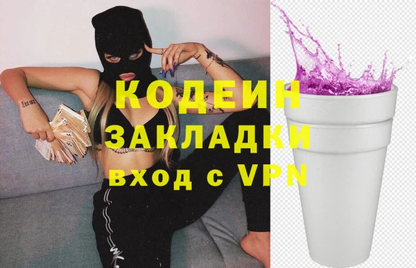 индика Баксан