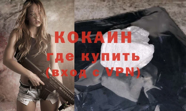 индика Баксан