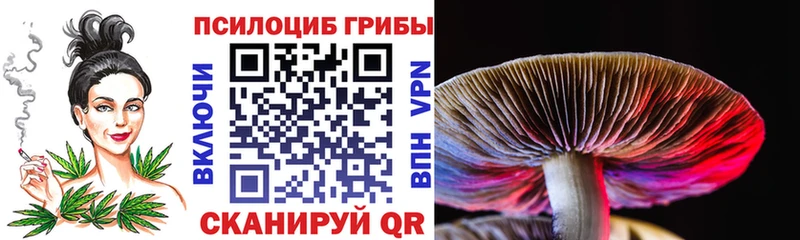 omg ТОР  купить наркоту  Калининец  Псилоцибиновые грибы GOLDEN TEACHER 